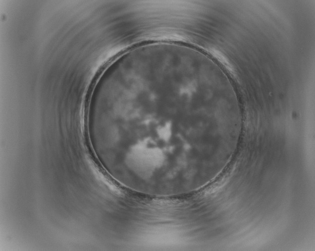 X0000088590840200705251147