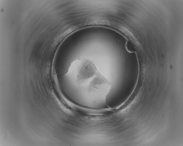 X0000088590841200705251147