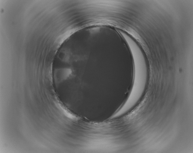 X0000088590842200705251147