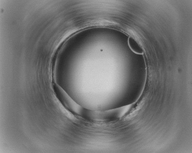 X0000088590843200705251147