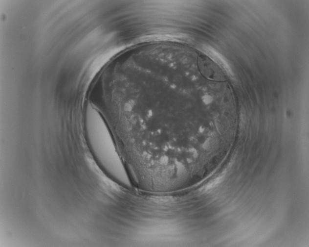 X0000088590844200705251147