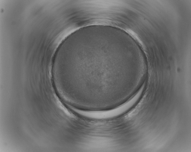 X0000088590846200705251147