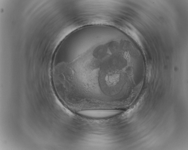 X0000088590847200705251147