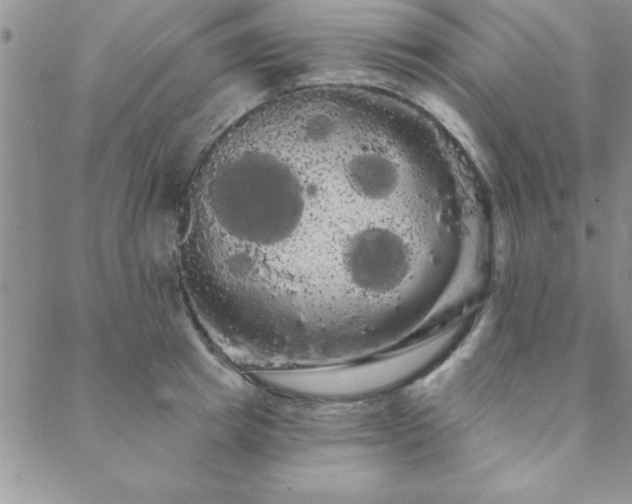 X0000088590849200705251147