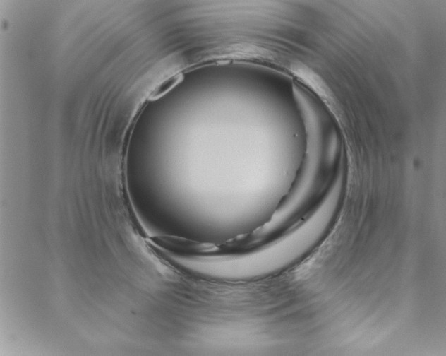 X0000088590850200705251147