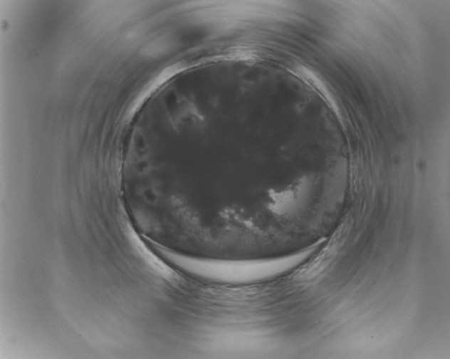 X0000088590851200705251147