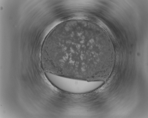 X0000088590852200705251147