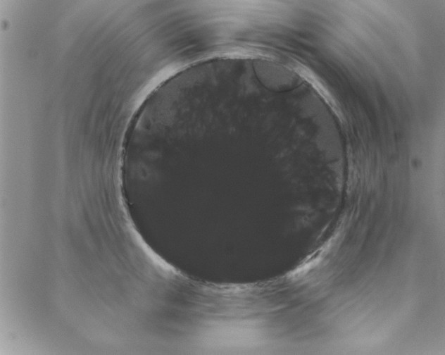 X0000088590853200705251147