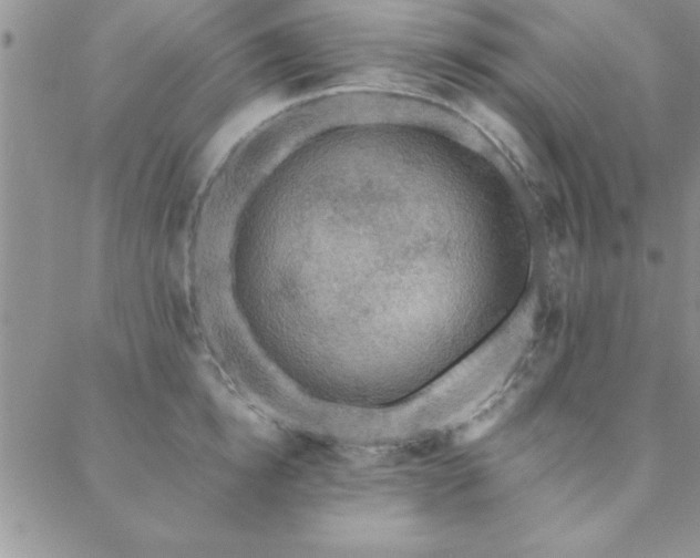 X0000088590854200705251147