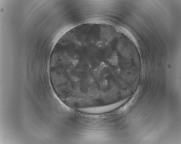 X0000088590855200705251147