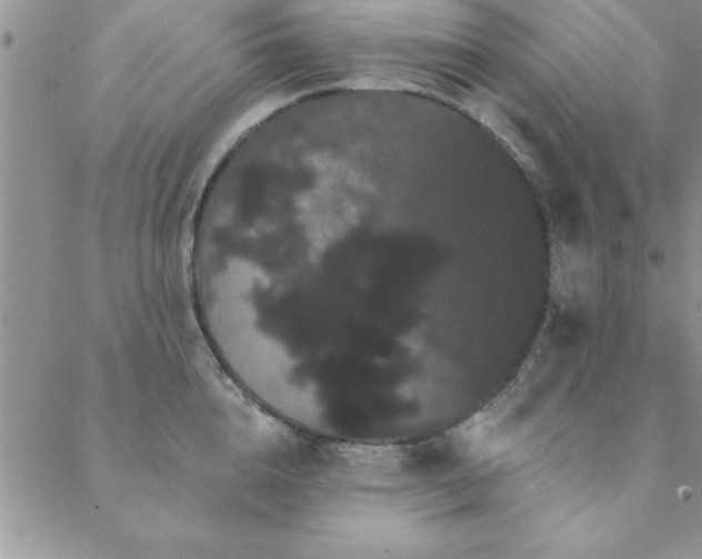 X0000088590856200705251147