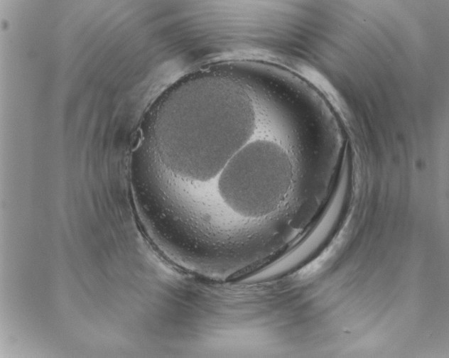 X0000088590857200705251147