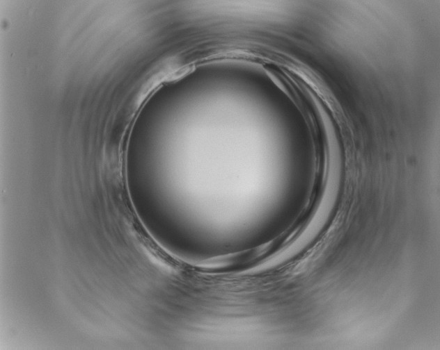 X0000088590858200705251147