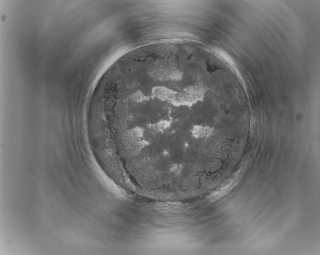 X0000088590859200705251147