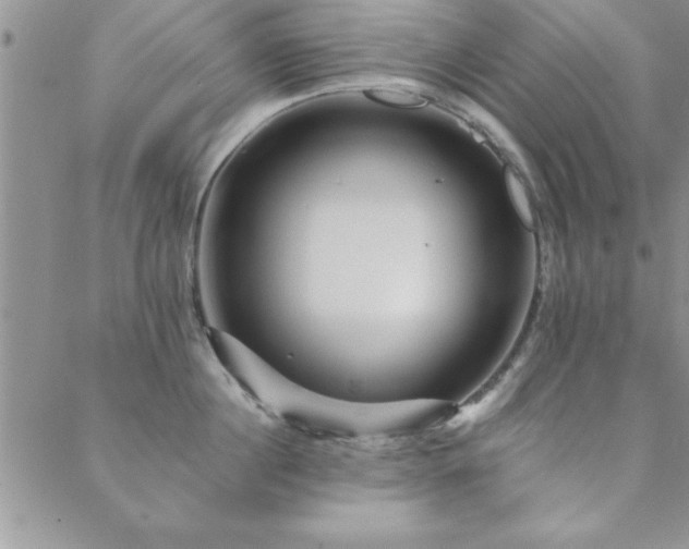 X0000088590860200705251147