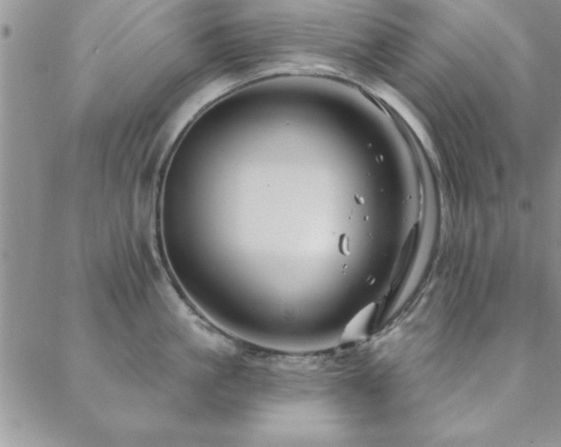 X0000088590861200705251147