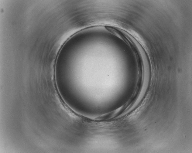 X0000088590862200705251147