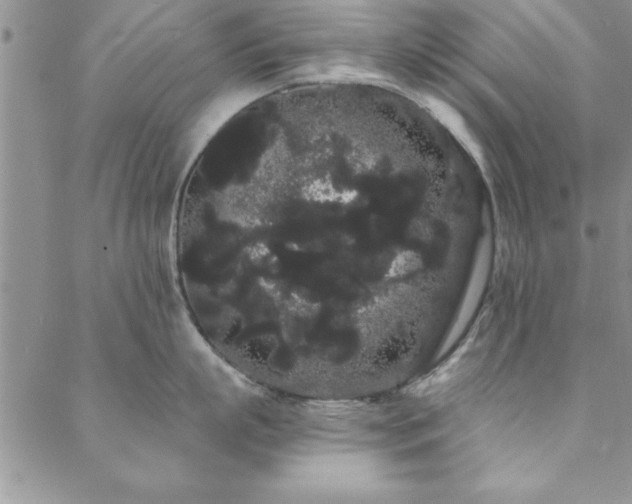 X0000088590863200705251147