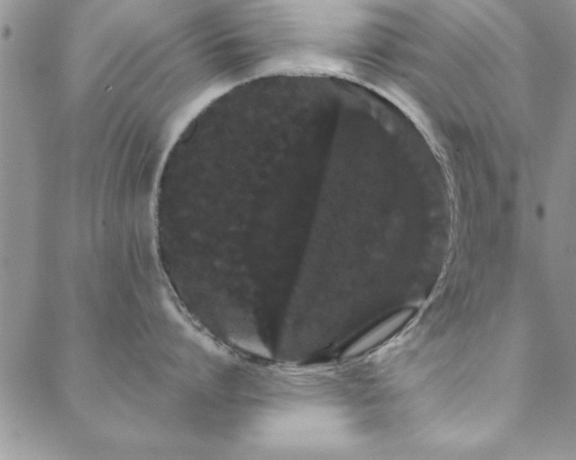 X0000088590864200705251147