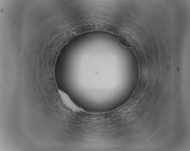 X0000088590865200705251146