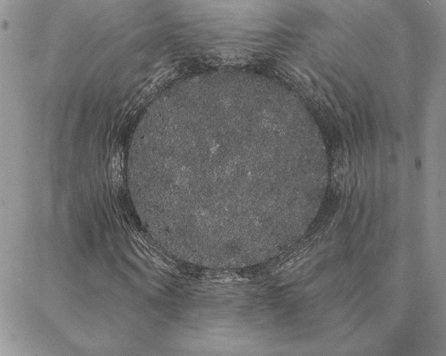 X0000088590866200705251146