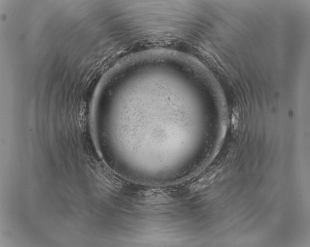 X0000088590867200705251146