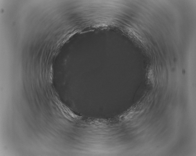 X0000088590868200705251146