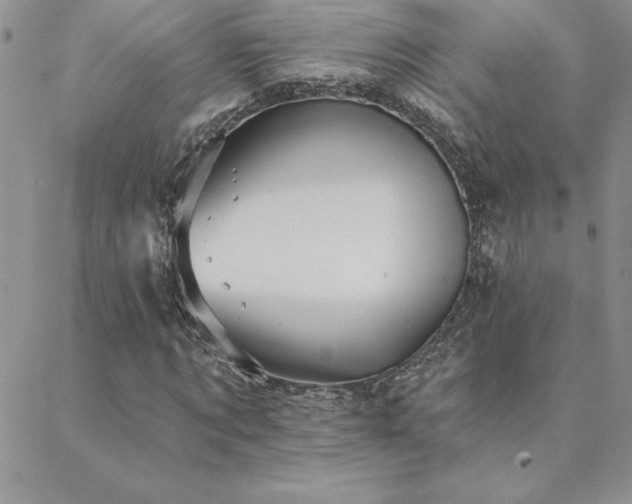 X0000088590869200705251146