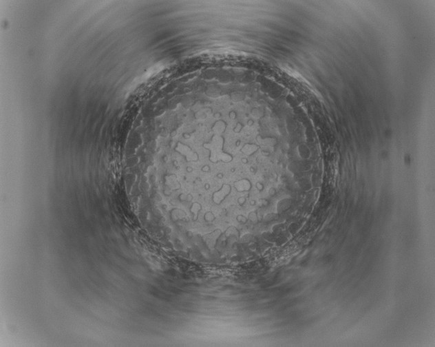 X0000088590870200705251146