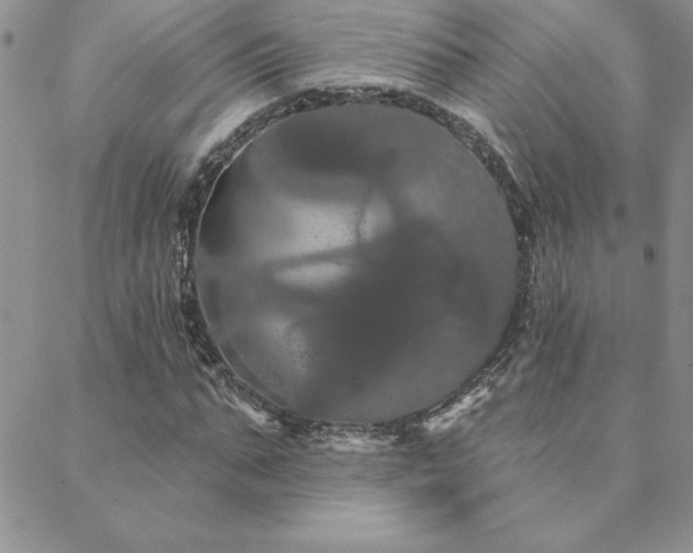 X0000088590871200705251146