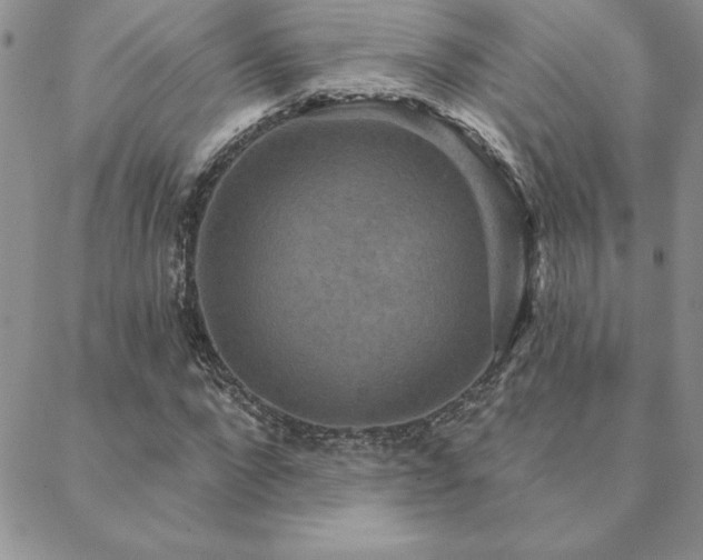 X0000088590872200705251146