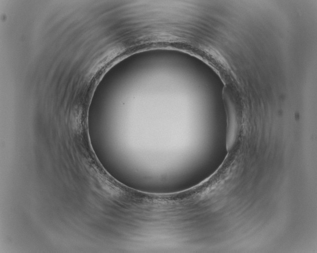 X0000088590873200705251146