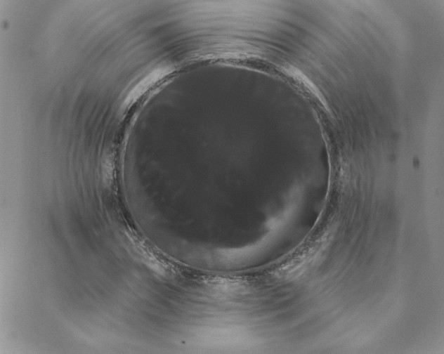 X0000088590874200705251146