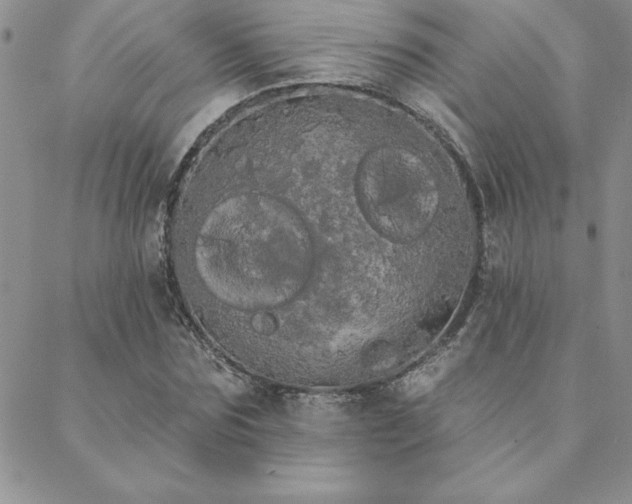 X0000088590875200705251146