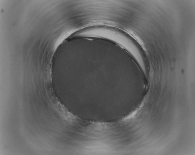 X0000088590877200705251146