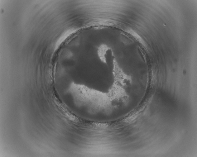 X0000088590878200705251146