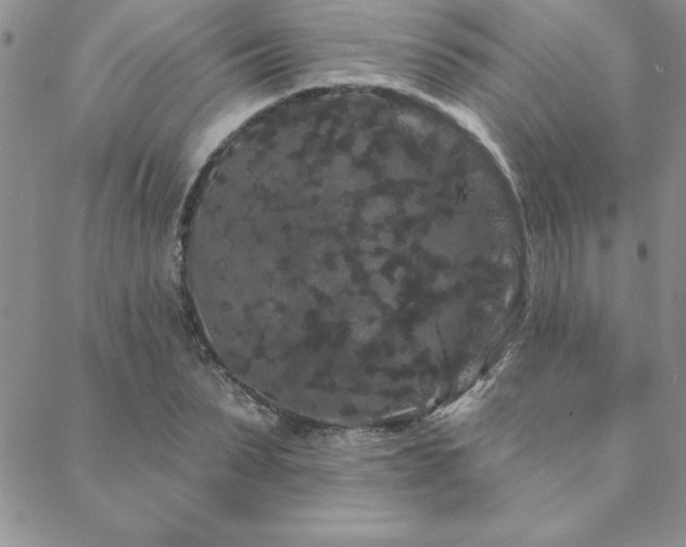 X0000088590879200705251146