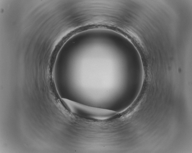 X0000088590880200705251146