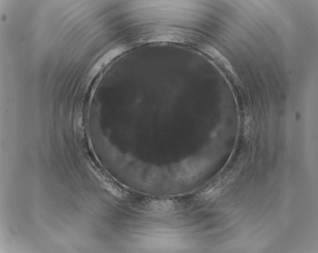 X0000088590882200705251146