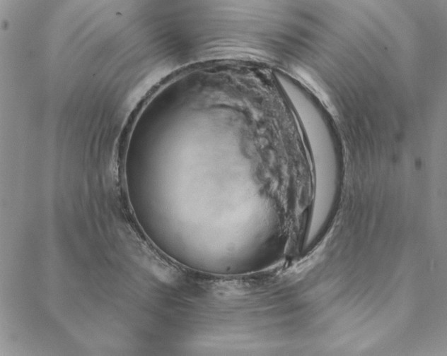 X0000088590883200705251146