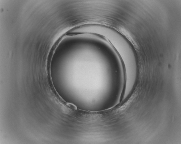 X0000088590884200705251146