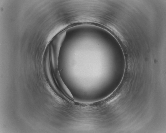 X0000088590885200705251146