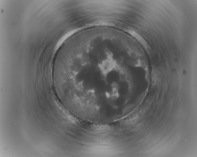 X0000088590886200705251146