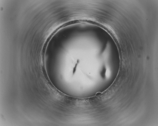 X0000088590887200705251146