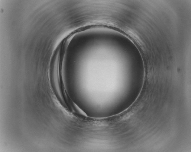 X0000088590888200705251146