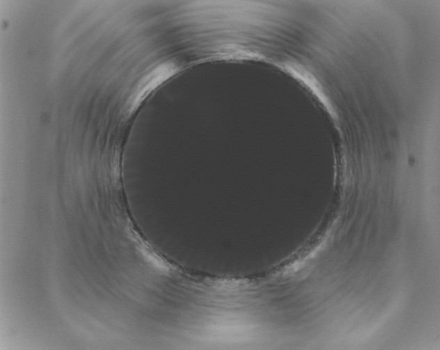 X0000088590889200705251146