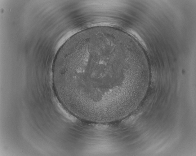 X0000088590890200705251146