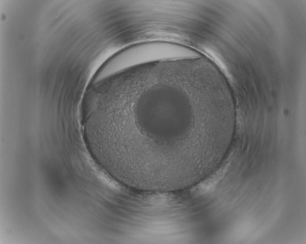 X0000088590891200705251146