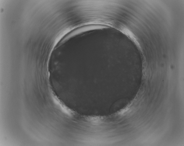 X0000088590892200705251146