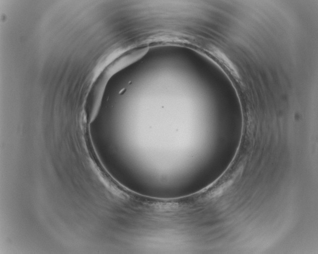 X0000088590893200705251146